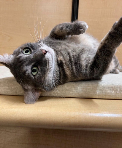 G 1GUxAXMAAMXBb?format=jpg.jpg