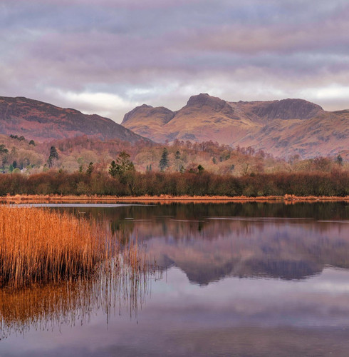 G 2INPFXIAAmNGJ?format=jpg.jpg