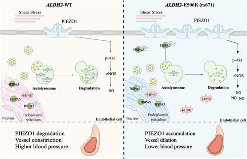G 0KxFvXYAAfPWh?format=jpg.jpg