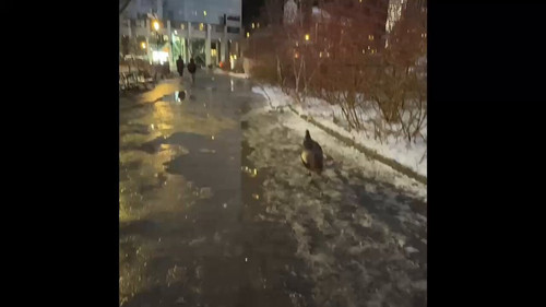 6BKXOMaoa fIFqmK.jpg