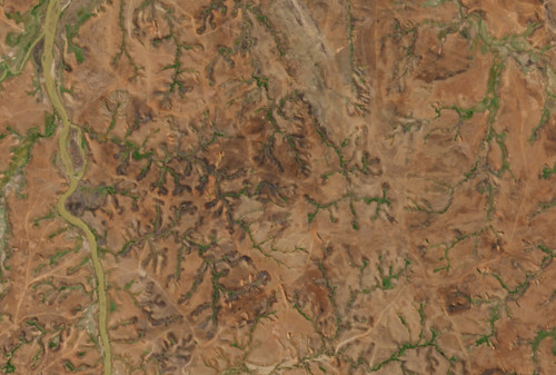 2024 08 25 00 00 2024 08 25 23 59 Sentinel 2 L2A True color (1).jpg