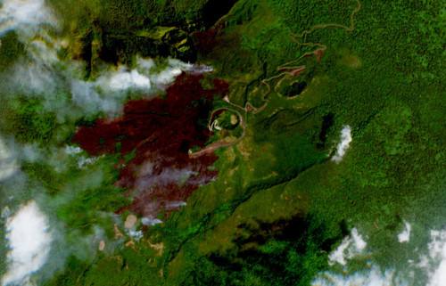 2024 02 03 00 00 2024 02 03 23 59 Sentinel 2 L2A True color (1).jpg