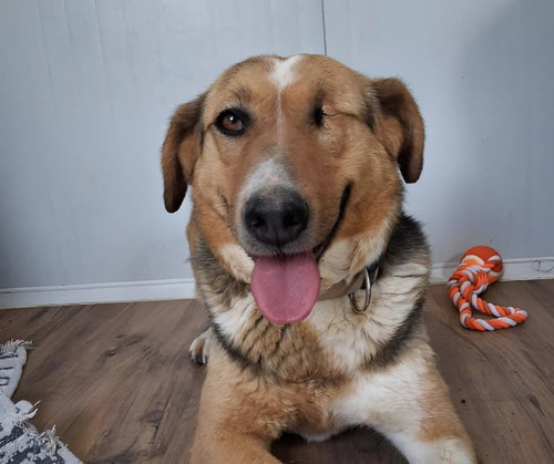 G 7SKgeXEAAc4dt?format=jpg.jpg