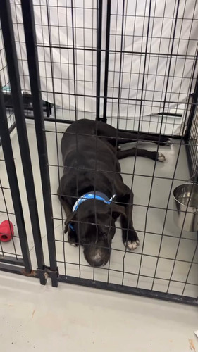 gkWv7HdR h4rxIY8.jpg