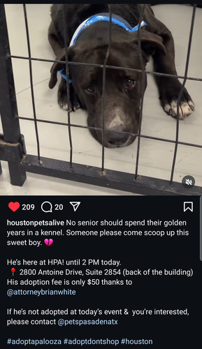 G 5g5RLWYAAVosz?format=jpg.jpg