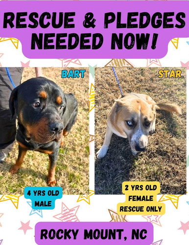 G 6uey XsAAp4d9?format=jpg.jpg