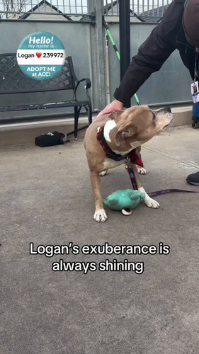 vsnWXtemYu gbZL .jpg