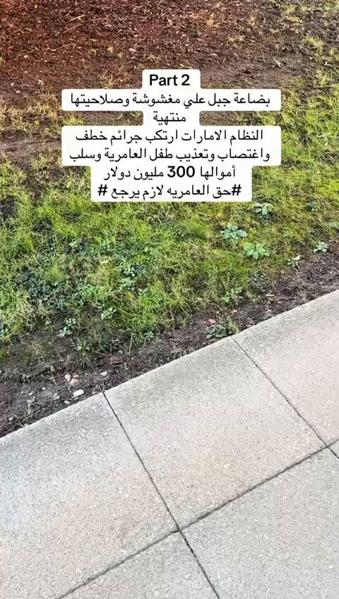 oK2i3KCzVv3CpuV .jpg