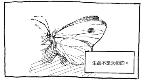 语擦戏文配图 1 准备寿司吧！ 来自小红书网页版.jpg