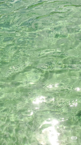  小新饼干 来自小红书网页版.jpg