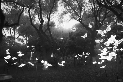 影像与想象｜夜里的飞蛾 2 过去与失去 来自小红书网页版.jpg