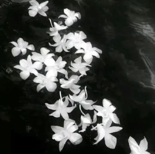 QQ20260116 204524.png