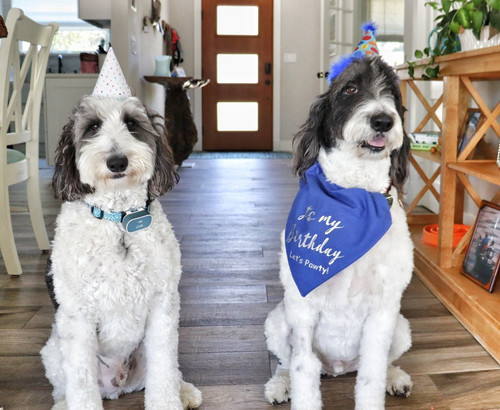 G zETrmXoAEhfxK?format=jpg.jpg