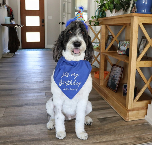 G zETtsboAAghCe?format=jpg.jpg