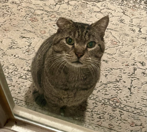 G 2J7gKWsAAoO51?format=jpg.jpg