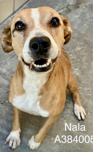 G ykYWGWYAA2Fjn?format=jpg.jpg