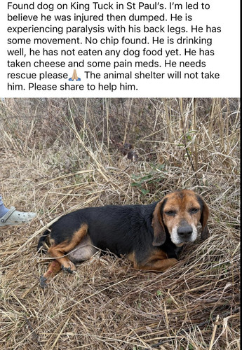 G 0PThKWkAAe3QK?format=jpg.jpg