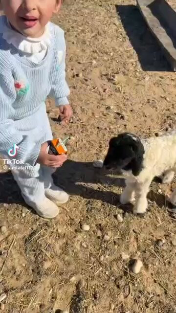 L4WbXKpqS b6lDxs.jpg