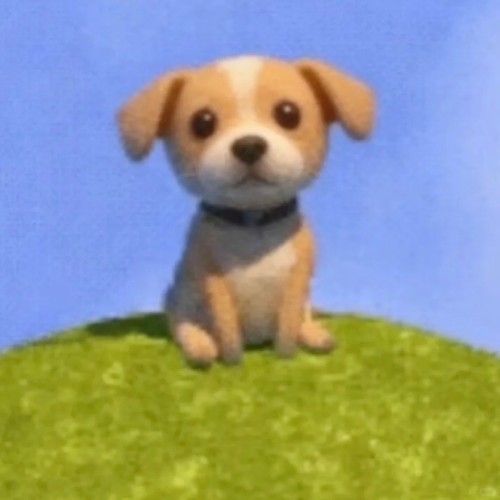  1 关关 来自小红书网页版.jpg