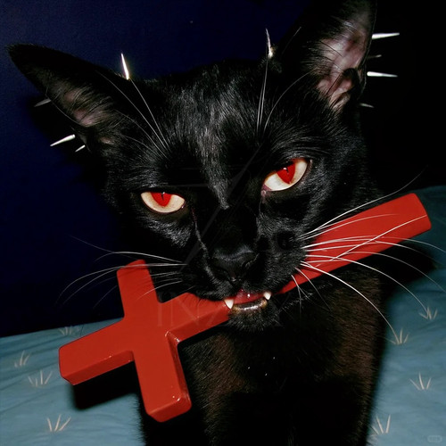 头像丨这黑猫好帅啊！ 1 Inzey（灵感分享版） 来自小红书网页版.jpg