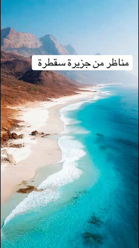 tFz zVHuJqsNAULv.jpg