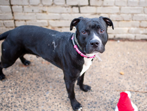 G zh0YdbkAA1AlB?format=jpg.jpg