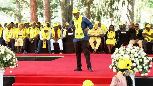 W4h C8pL4NNzbUg2.jpg