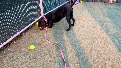 BcaMfZUDvnPe7WU .jpg