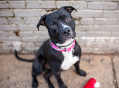 G zh3q8bgAAJZ3 ?format=jpg.jpg