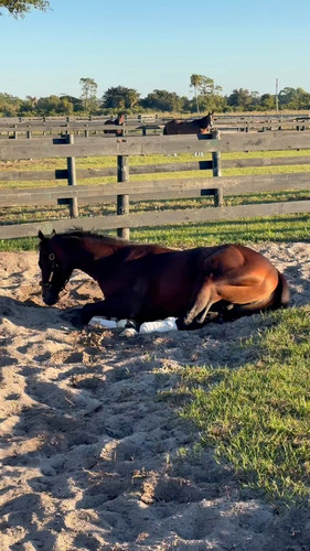 cW R40XYp3hfx3pM.jpg