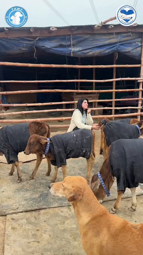 FWkY1h9eq1o NbrL.jpg