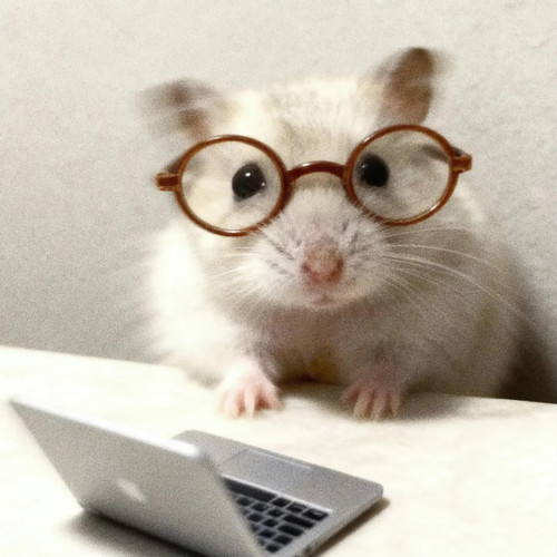 ʢ ᴗ . ᴗ ʡ ᶻᶻ 7 瑞崽咩 来自小红书网页版.jpg