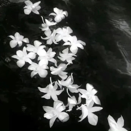 审美积累&black🎧 1 Rumivai 来自小红书网页版.jpg