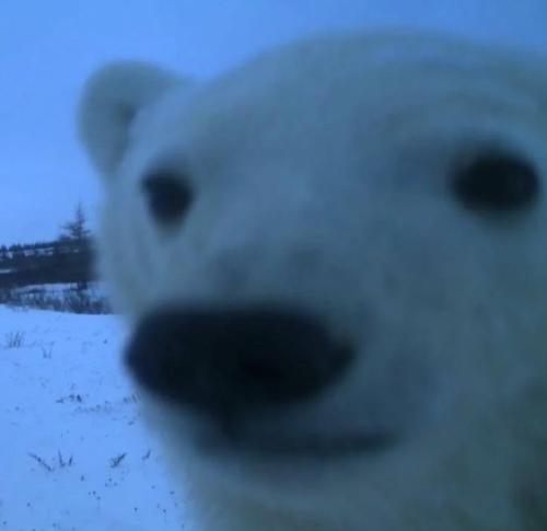 QQ20260116 210735.png