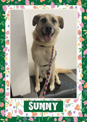 G yjl6JW0AAe2zc?format=jpg.jpg