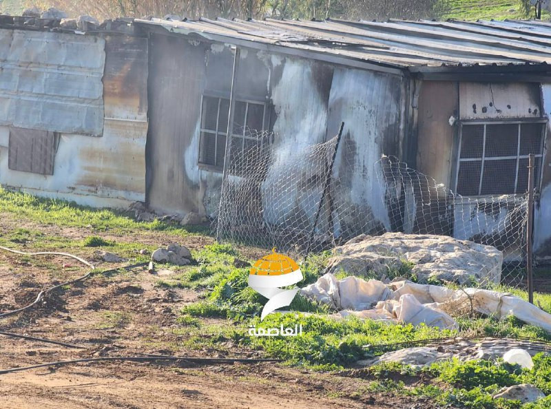 مشاهد من تجمع خلة السدرة قرب بلدة مخماس شمال شرق القدس هذا الصباح بعد اعتداء المستوطنين وإحراقهم لمركبات ومساكن ومنشآت الفلسطينيين الليلة الماضية....