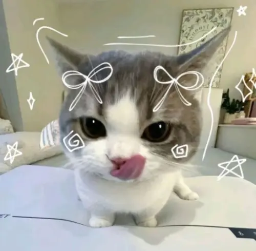HyUpwCx.webp