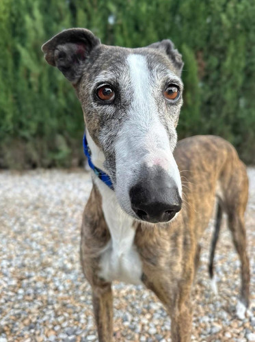 G s2YiibQAY5Ngx?format=jpg.jpg