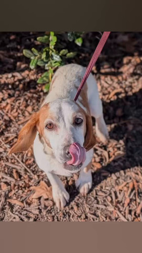 28ZBx YpRf4EgTE .jpg