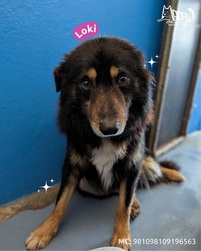 G ZdavkXUAAmAAM?format=jpg.jpg