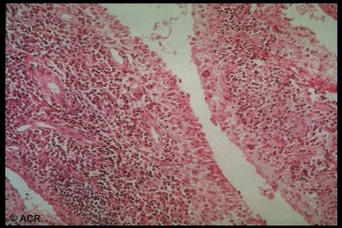 G pwlfcXYAA fJE?format=jpg.jpg