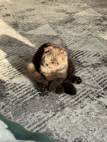 G xEVsnWsAAG21w?format=jpg.jpg