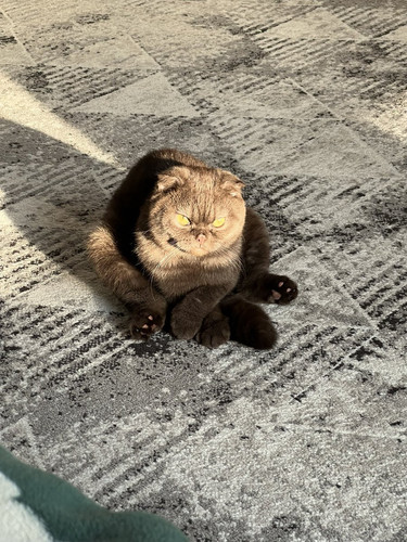 G xEVtHaoAAsdEW?format=jpg.jpg