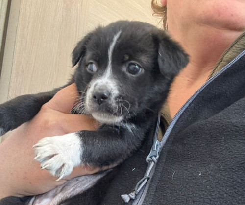 G wyGIsbQAQJf3n?format=jpg.jpg