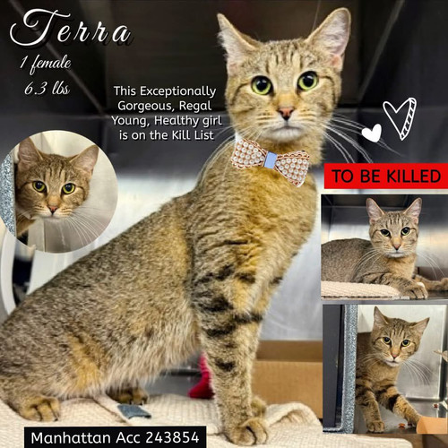 G wZqyebwAAWUrz?format=jpg.jpg