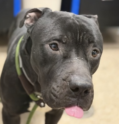 G EkABPaEAAQrjC?format=png.png