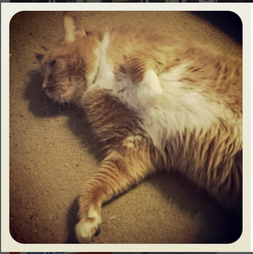 Screenshot 2025 12 22 10.53.52 AM.png