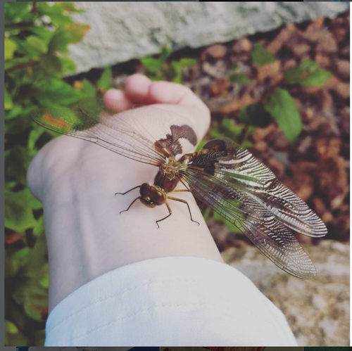 Screenshot 2025 12 22 10.45.13 AM.png