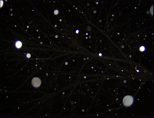 Screenshot 2025 12 25 9.06.38 AM.png