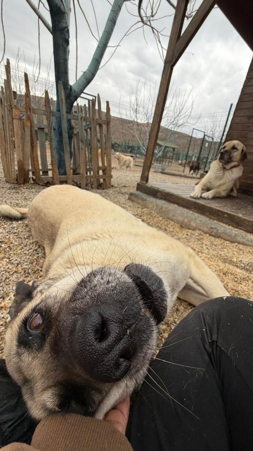 G wuWlcXQAEMoAd?format=jpg.jpg